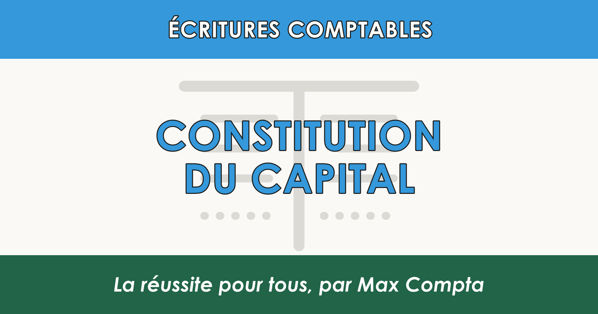 Constitution capital SA 4561 1012 1013 - Max Compta