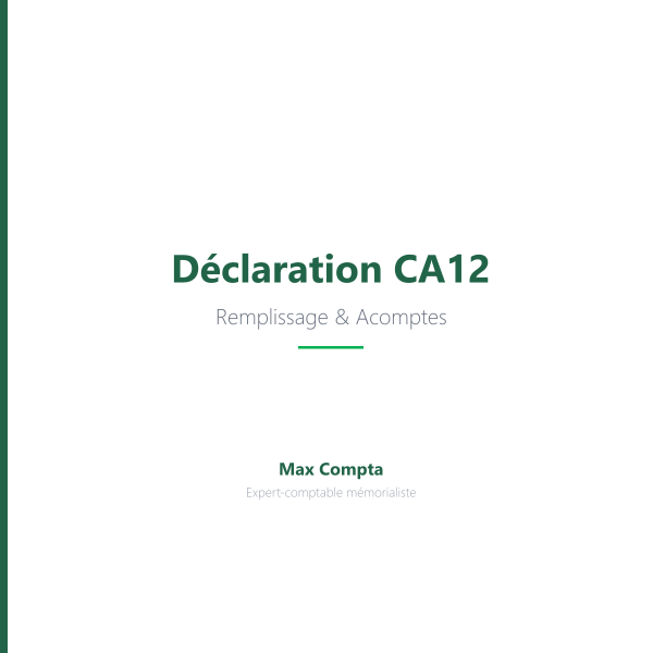 Déclaration CA12 : remplissage TVA réel simplifié - Max Compta