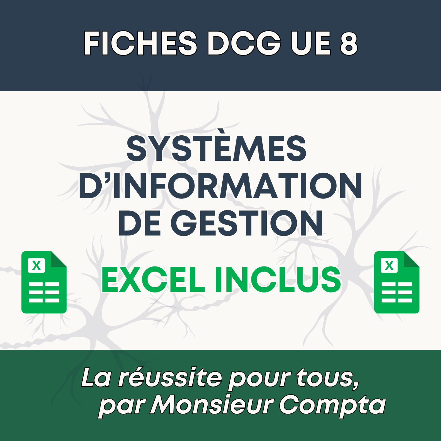 Aperçu fiche DCG UE 8 Systèmes d'information - Pack Max Compta