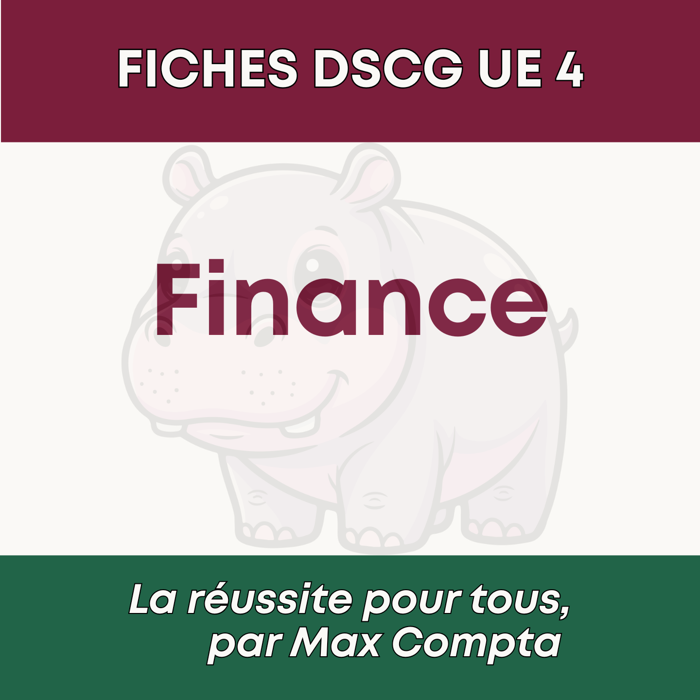 Extrait Gratuit - Fiche DSCG UE 2 Finance