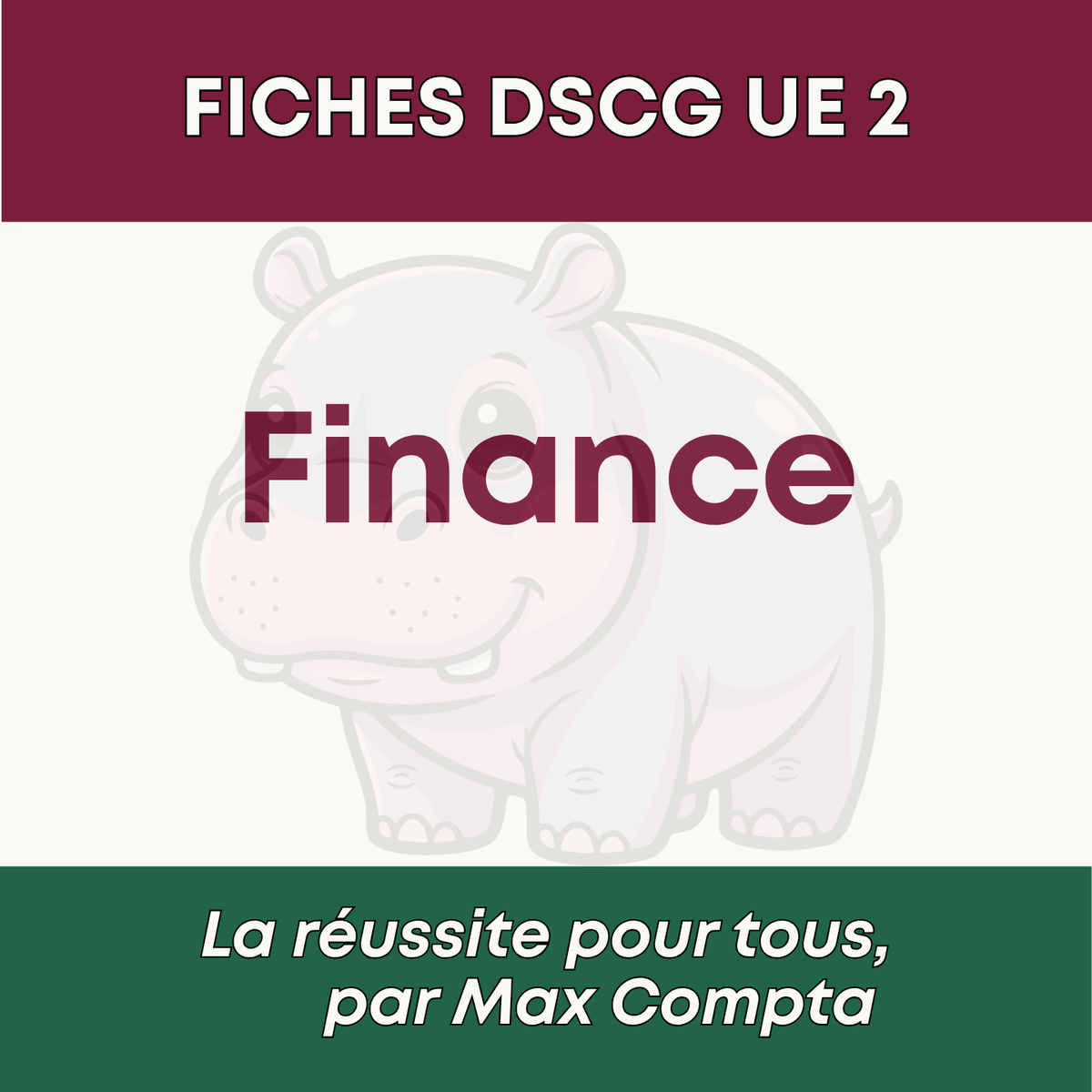 Extrait Gratuit - Fiche DSCG UE 2 Finance